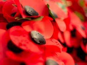 Supporting image for story: Dan Morris: A salute to the heroes we must always remember