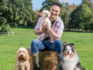 Supporting image for story: DogFest 2018: Festival for dogs set to return to Cholmondeley Castle - with pictures and video