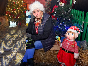 Supporting image for story: 'Idiots with no morals': Thieves break in and take community grotto's Christmas lights