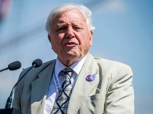 Supporting image for story: Peter Rhodes on the must-see tendency, a Scottish delusion and the biggest Brexit whopper of them all