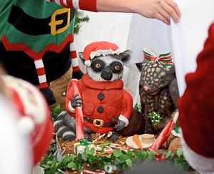 The special zoo-themed cake