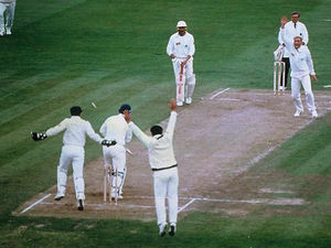 Supporting image for story: Strewth! Five of the best Ashes moments