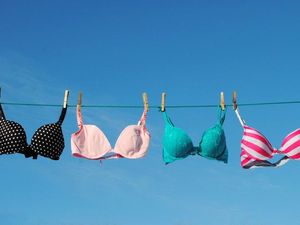 Supporting image for story: The curious story of the iPhone photos app and pictures of bras