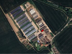 Supporting image for story: Harper Adams University says 'we didn't endorse chicken farm plan' after agent said it 'expressed support'