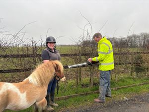 Supporting image for story: The 'We Care That You Care' campaign continues! Much Wenlock equestrian centre receive donation