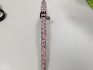 Supporting image for story: RSPCA appeal after cat found 'hanging from fence' by a lead in Walsall car park