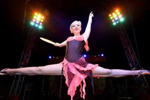 Supporting image for story: Moscow State Circus, Star City, Birmingham - review