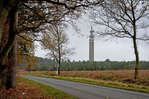 Cannock Chase