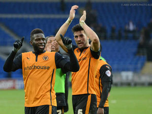 Supporting image for story: Cardiff City 0 Wolves 1 - Report and pictures and video