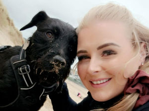 Supporting image for story: Chai the terrier now a firm favourite behind bars despite prisoners unable to go 'walkies' with him