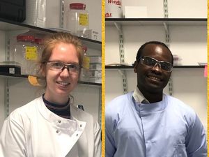 Supporting image for story: Shropshire hospital researchers volunteer at Covid-19 testing ‘mega-lab’