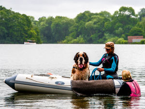 Supporting image for story: Doggy paddle: Swimming lesson with a difference in The Mere