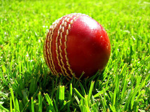 Supporting image for story: Star performers lead their teams to league triumphs