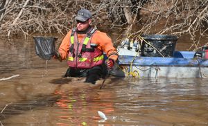Ralf Wilkinson from MEM Fish in Northampton