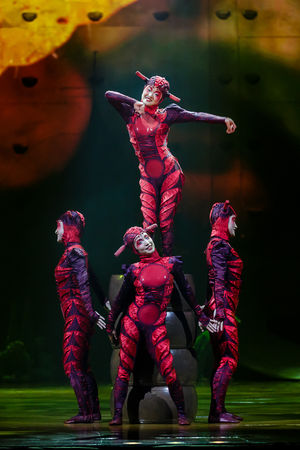 Cirque du Soleil OVO. Pictures by: Chris Bowley