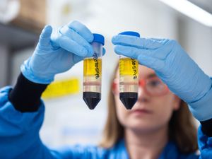 Supporting image for story: Aborted foetus cells, microchips and Thalidomide: vaccine myths debunked