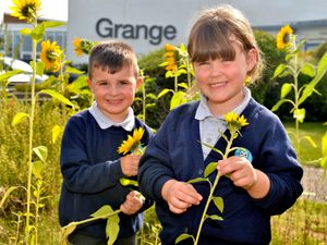 Supporting image for story: Schools in Shropshire get on with learning after a torrid 18 months with Covid