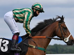 Supporting image for story: Taste of racehorse ownership on offer in aid of charity