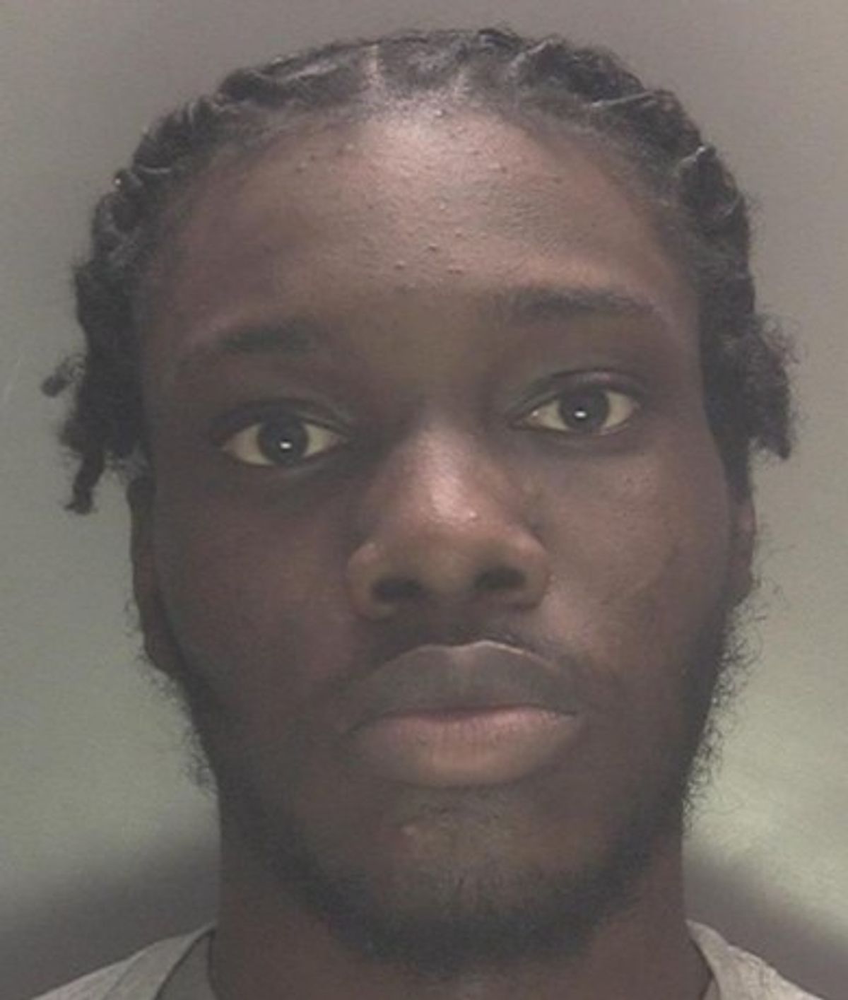 Black Country man jailed after police seize zombie knife Black Country man jailed after police seize zombie knife