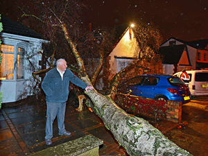 Supporting image for story: Fierce winds batter West Midlands