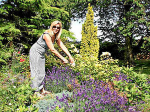 Supporting image for story: Superb gardens open for the weekend