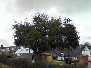 Supporting image for story: Picturesque Berriew voted best village in Mid Wales