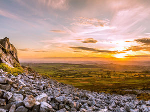 Supporting image for story: Change tack or face loss of countryside, expert warns