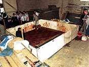 Supporting image for story: Midlands dog fights shame