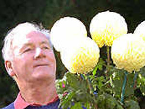 Supporting image for story: Tom blooms thanks to Percy