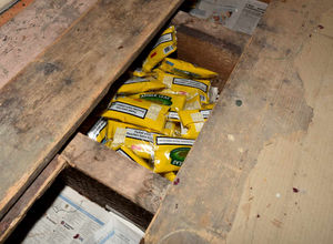 Illicit tobacco is hidden under the floorboards