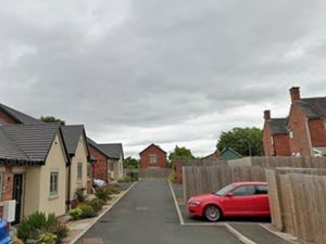 Supporting image for story: Death of walnut tree could release Telford land for house