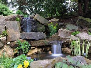 Supporting image for story: Bears, pigs and clowns at Birmingham Botanical Gardens
