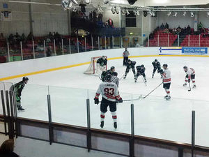 Supporting image for story: Hull Pirates 3 Telford Tigers 7 - match report