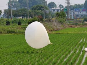 Supporting image for story: Fears over new North Korean rubbish balloon launches toward South