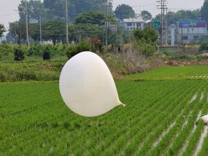 Supporting image for story: Fears over new North Korean rubbish balloon launches toward South