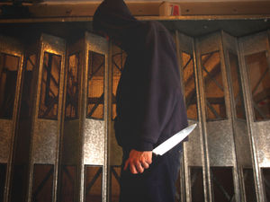 Supporting image for story: Police scheme warns 50,000 children of knife crime