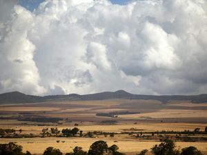 Supporting image for story: Humans ‘evolved ability to teach when they began to rely on complex tools’