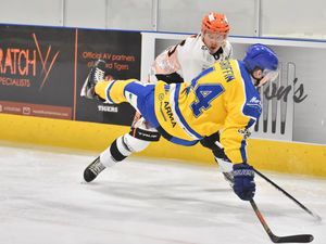 Supporting image for story: Tigers claim victory in opening game of season