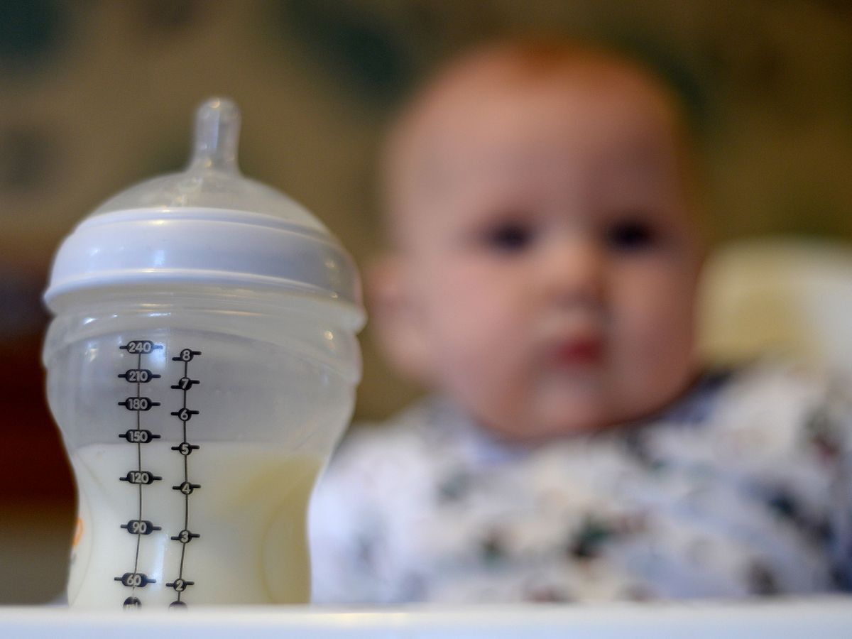 UKHSA reports 36 notifications of baby formula cereulide poisoning