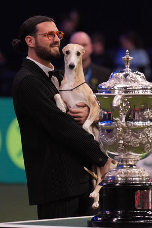 Giovanni Liguori from Italy with whippet Miuccia