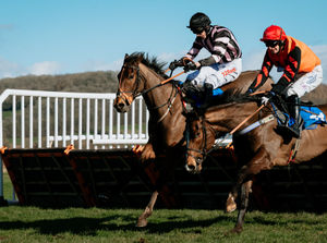 Supporting image for story: Ludlow Racecourse sets new date for cancelled brewery race day