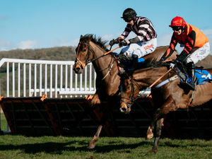 Supporting image for story: Ludlow Racecourse sets new date for cancelled brewery race day