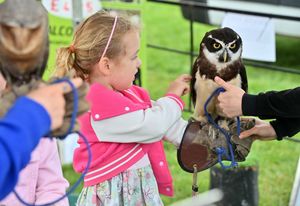 Evie Osenton, 5, at the county show