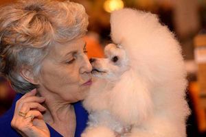 Supporting image for story: WATCH: Crufts 2016 - Exclusive behind-the-scenes video