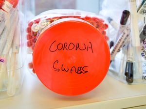 Supporting image for story: No further covid deaths in the county