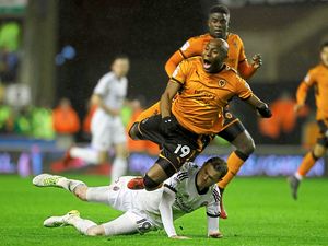 Supporting image for story: Richard Stearman: No limit to Wolves potential 