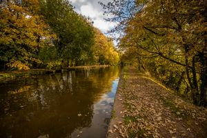 The Shropshire Union Canal, Market Drayton. Picture: Dave Munn Photography