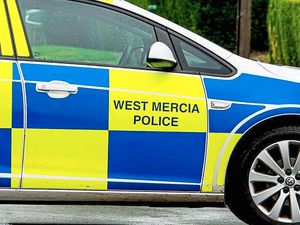 Supporting image for story: Men seen hare coursing with lurchers near Newport