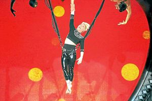 Supporting image for story: Pink cancels postponed Birmingham LG Arena gig