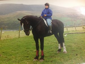 Supporting image for story: Shrewsbury rider desperate for help after theft from 'lifeline' vehicle
